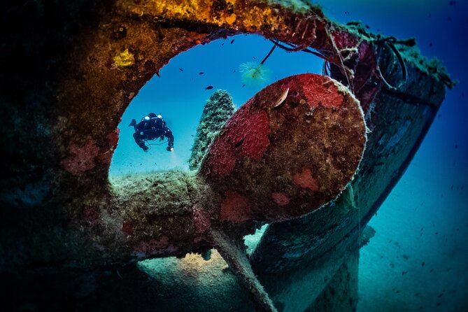 2 Scuba Fun Dives for Certified divers in St Paul's Bay - Key Things That Make This St Paul’s Bay Scuba Day Work
