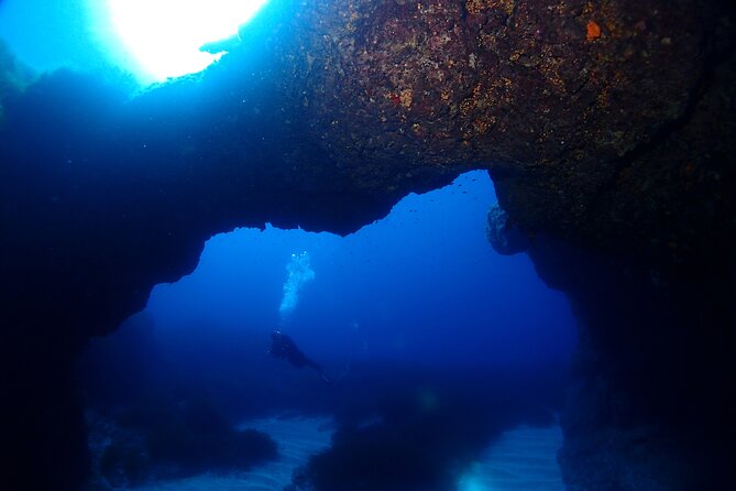 2 Scuba Fun Dives for Certified divers in St Paul's Bay - Gear, Transfers, and What You Must Bring
