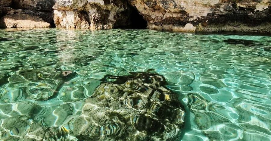 Comino Blue Lagoon: Private Boat Charter (3 Hours) - What You Actually Do in 3 Hours on the Water