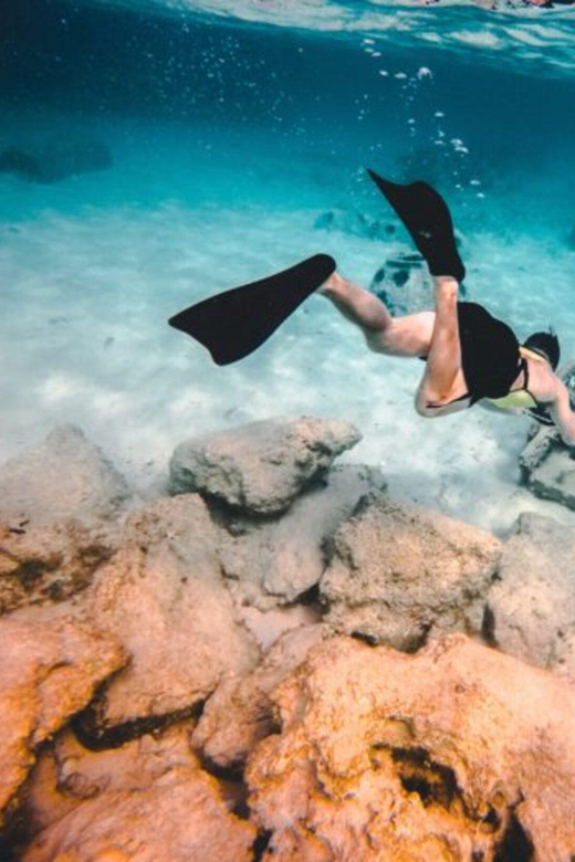 DiveSnap Underwater Sports Thrills:Lantern Point & P31 Wreck - Key highlights you’ll feel on the water