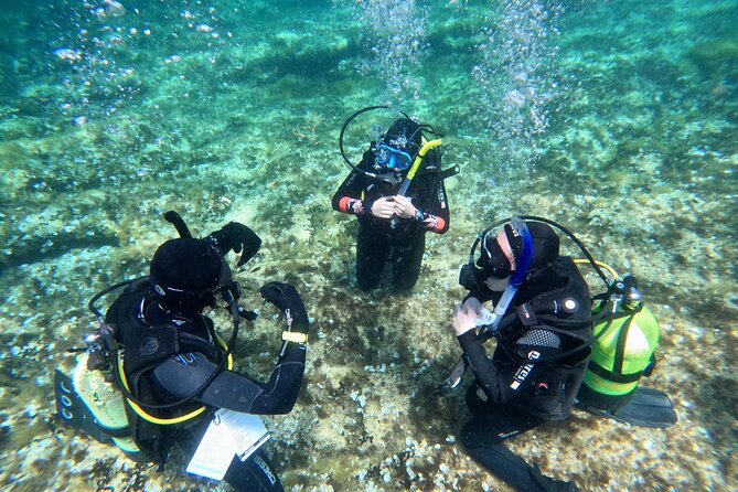 Diving experience in Malta - Ramla Bay Resort meeting point and the quick hop to Cirkewwa