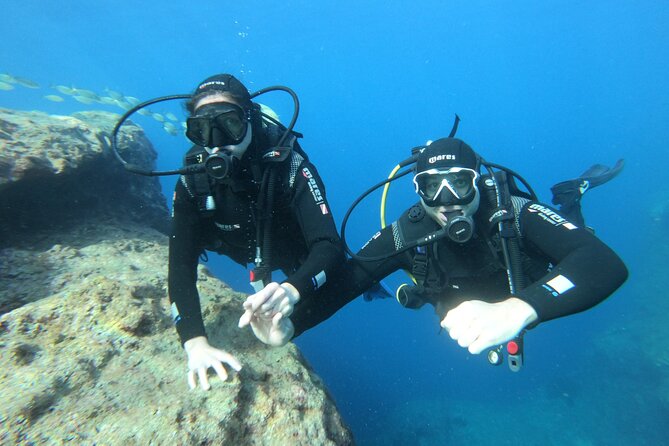 Diving experience in Malta - Who this is a great fit for, and who should think twice