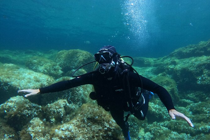Diving experience in Malta - Online theory, then gear try-on, then you go