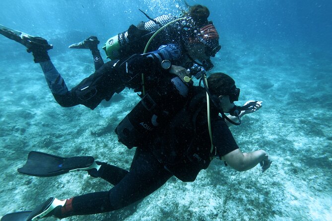 First Experience Scuba Diving - Safety rules, medical approvals, and the limits that keep it real