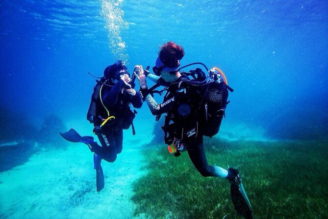 First Experience Scuba Diving - Price and value check for $96.55, and who this suits best