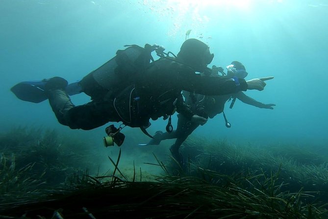 First scuba diving experience with instructor - Malta - What a full 3-hour first-timer schedule looks like