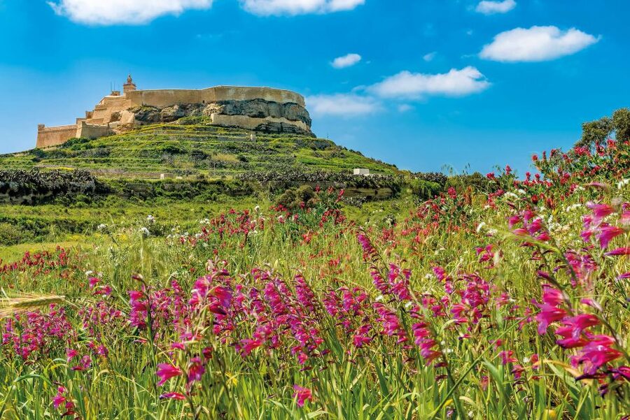 From Malta: Gozo Day Trip Including Ggantija Temples - Dwejra Inland Sea: The 65-Meter Tunnel and the Odysseus Legend
