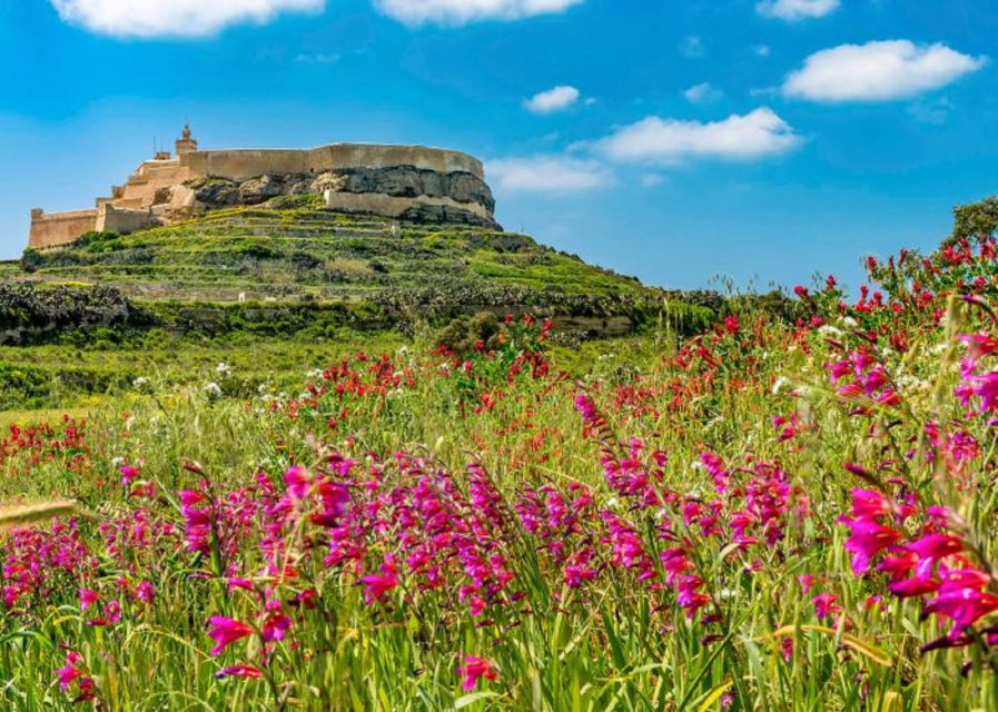 From Malta: Gozo Full-Day Tour with Guide, Temples, & Train - Key things to know before you go