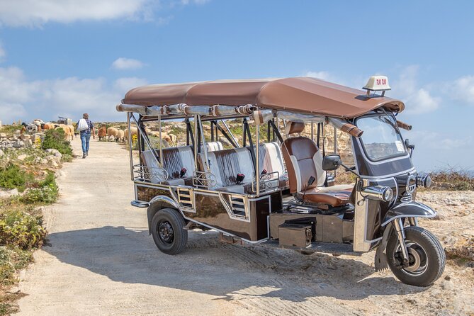 Gozo All Inclusive Chauffeured Tuk Tuk Day Tour - Blue Lagoon - Price and value for a $102.79 Gozo day