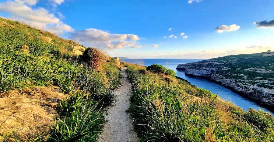 Gozo Unveiled: Guided Hiking in Gozo - South East - Fitness reality check: who this is for, and who should skip it