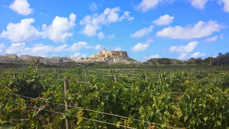 Gozo Victoria Walking Tour - Key highlights you should care about