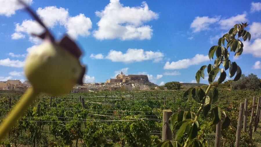 Gozo Victoria Walking Tour - Cittadella in about 45 minutes, the view that makes the walk worth it