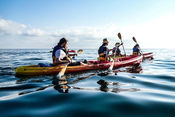 Guided Kayak Tour in St Paul's Island - Price and value: why $52.42 can be a fair deal in Malta