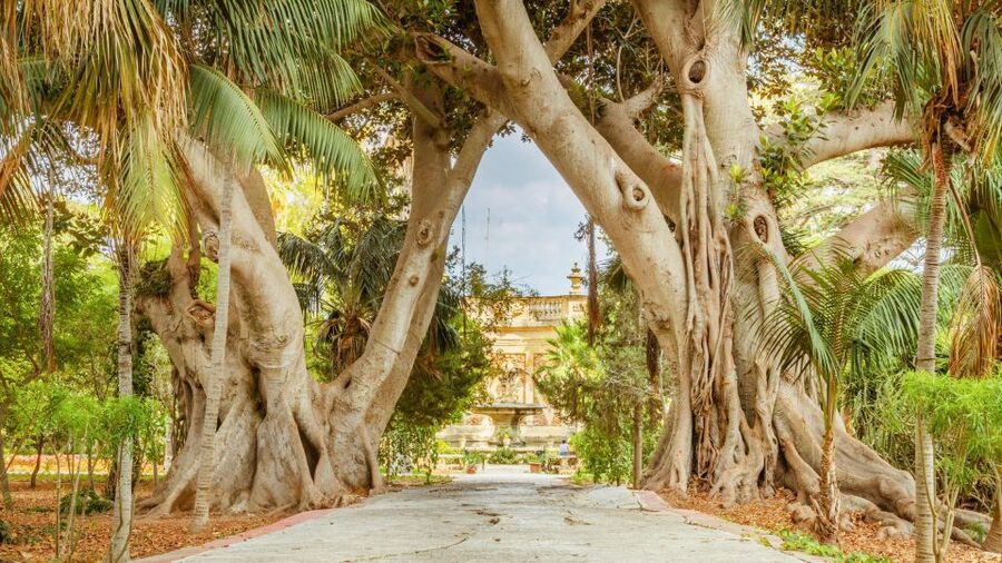 Highlights of Malta Tour:Icons and Experiences of the Island - Valletta Grand Harbour and St. John’s Co-Cathedral: the Malta you can recognize fast