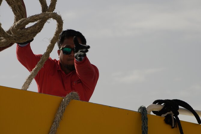 Highspeed Catamaran Crossing Between Malta and Gozo - Price and Value: Is $8.73 Per Person a Deal?