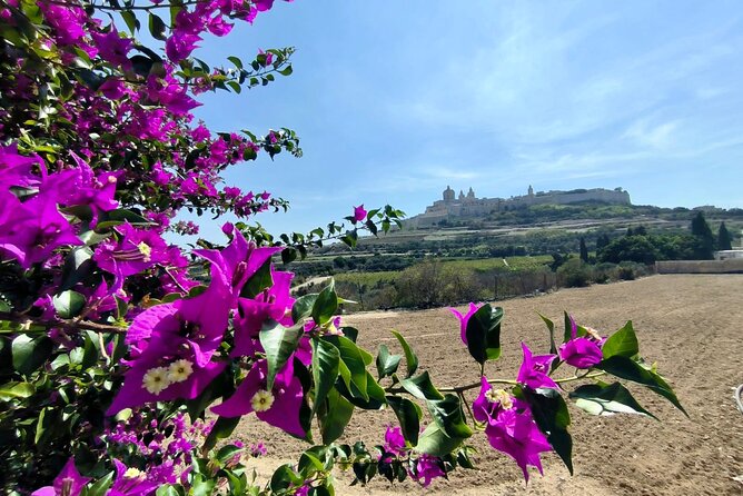 Island Day Tour with a Private Local Driver - How the private-driver format changes Malta