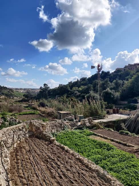 Island of Gozo: Private Tour - What to expect from your driver, and what you should do yourself