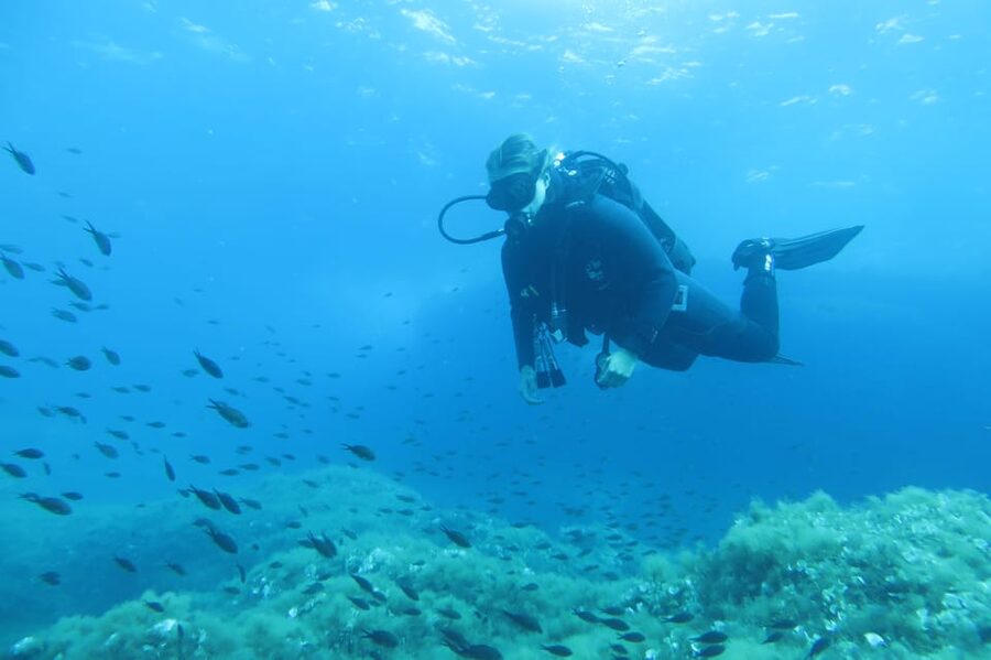 Malta: 2 Scuba Fun Dives for Certified divers - Key highlights worth putting on your Malta list