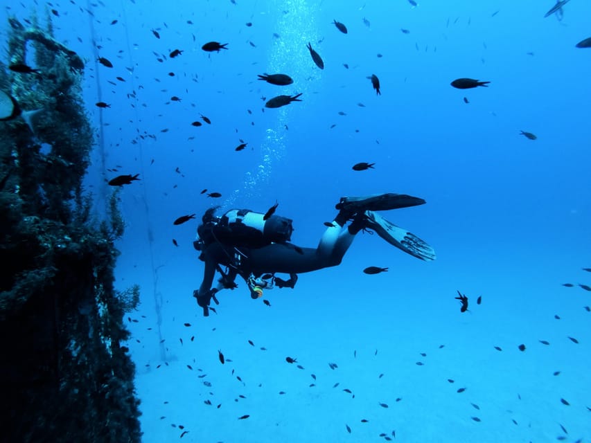 Malta: 2 Scuba Fun Dives for Certified divers - St Paul’s Bay, and why Malta water works for certified divers