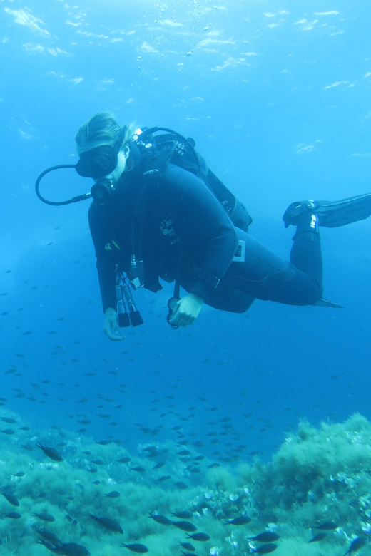 Malta: 2 Scuba Fun Dives for Certified divers - Who should book these Malta sessions, and who should skip them