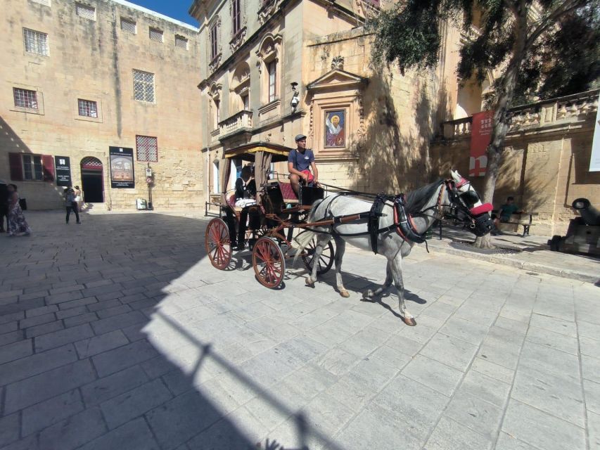 Malta: Ancient Wonders, Coastal Charms, and Cities Tour - Audio Guides and a Real Mix of Learning Styles