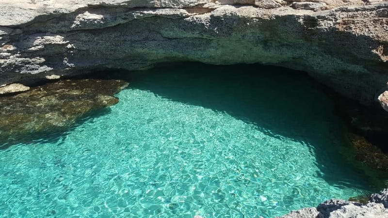 Malta: Comino, Blue Lagoon, + Sea Caves Day Trip - Price value: why $35 can be a smart use of your Malta day
