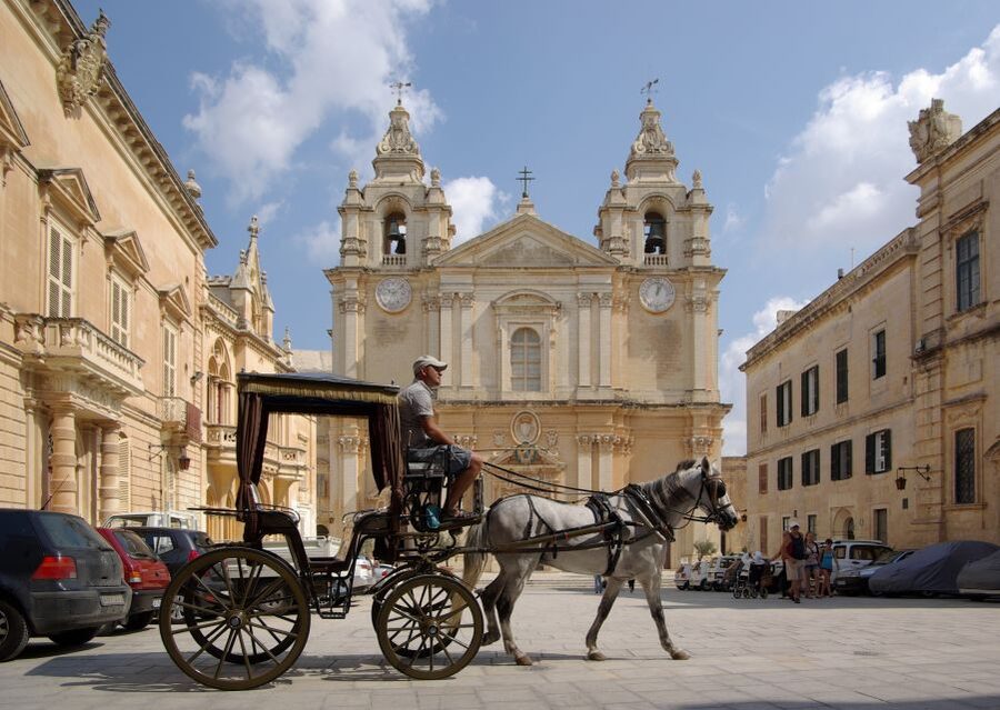 Malta, Gozo & Comino Private Sightseeing Tour with Pickup - Private catering and local recommendations: how the day can feel more personal