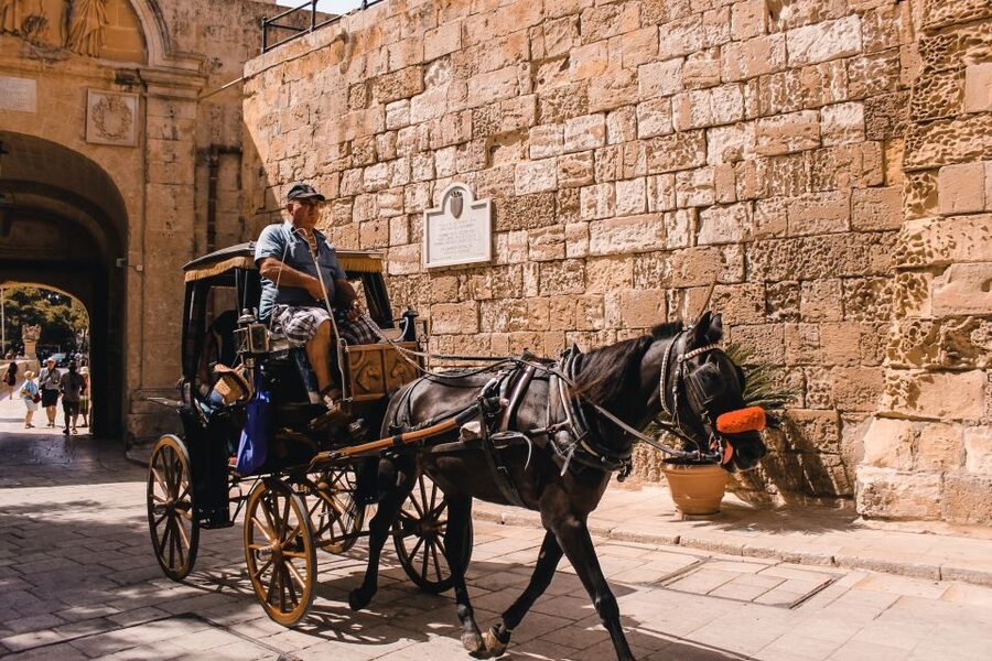 Malta: Highlights of Malta & Mdina Full Day Tour with Lunch - San Anton Botanical Gardens: A Designed Pause With Palace Connections