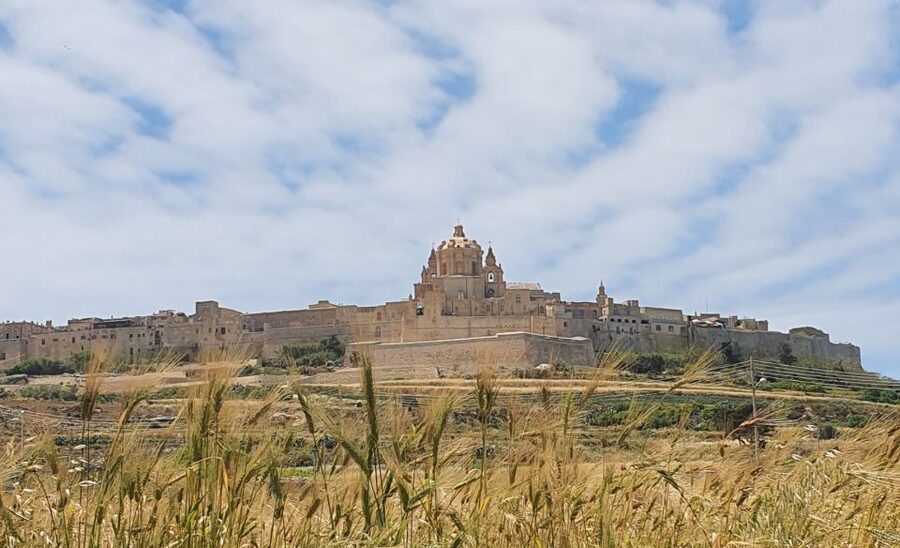 Malta: Mdina and Rabat Tour with Local Guide - Mdina Gate to Mdina Cathedral: turning stonework into a story