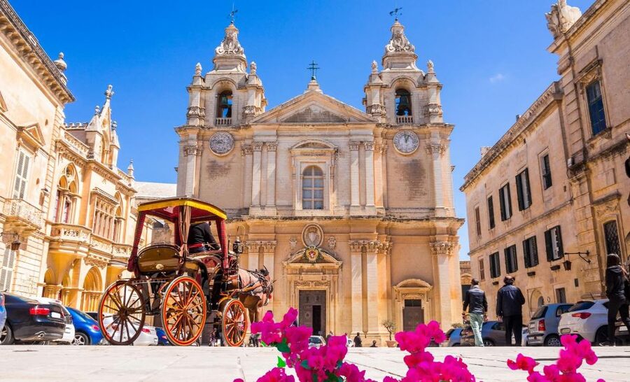 Malta: Mdina, Dingli Cliffs and San Anton Botanical Gardens - Price and logistics: what $41 buys you, and what it does not