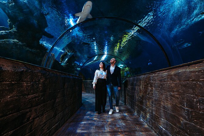 Malta National Aquarium Entrance Ticket - The walk-through glass tunnel, the shark and ray moment