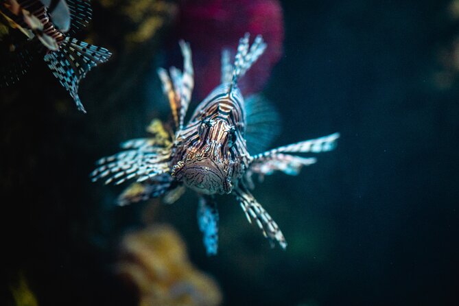 Malta National Aquarium Entrance Ticket - Food, photos, parking, and the stuff that can cost extra