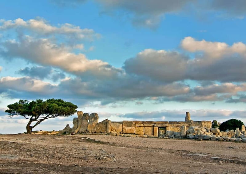 Malta: Private Full-Day Sightseeing Tour - The value question: $391 per person, plus entrance fees