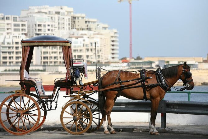 Malta Private tour: 5hr Mosta Dome, Mdina, Dingli Cliff's & Blue Grotto - The value question: $332.45 per group up to 8