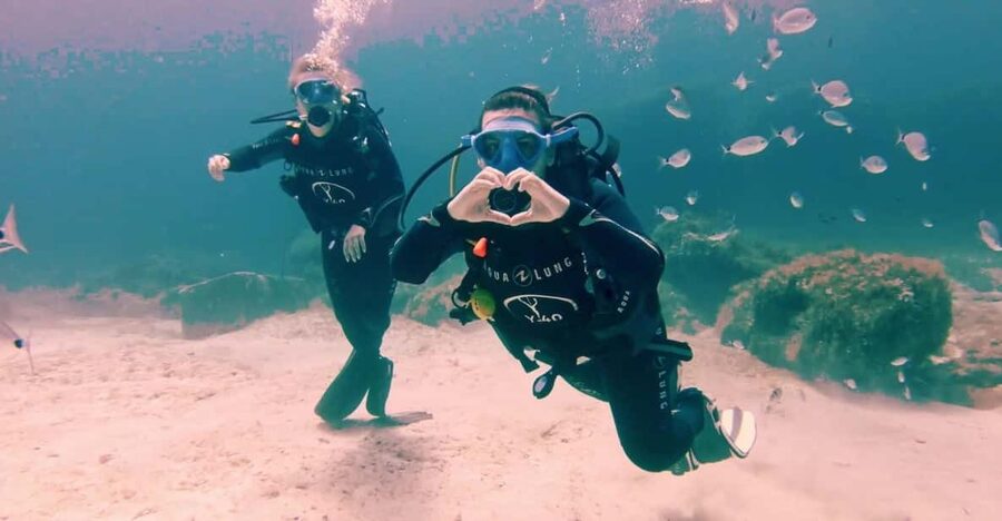 Malta, Scuba diving with instructor - Key highlights worth planning for