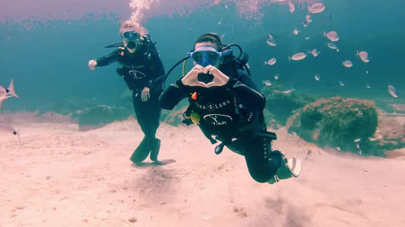 Malta, Scuba diving with instructor - 3 Hours That Actually Teaches You: Theory to First Checks