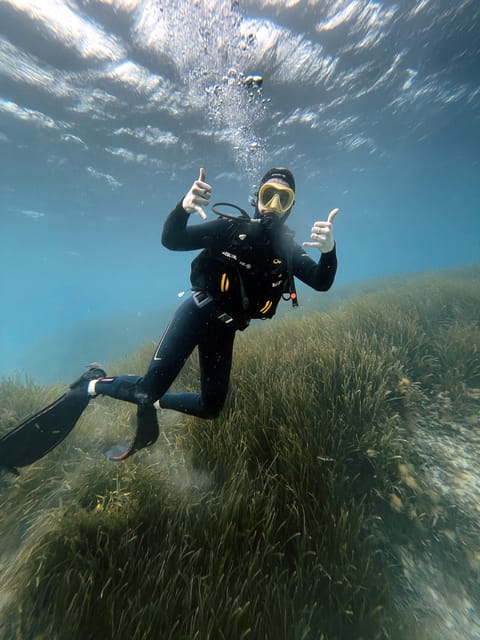Malte : Baptême de plongée sous-marine en Français - Getting there: the short MaltaVan transfers and timing flow