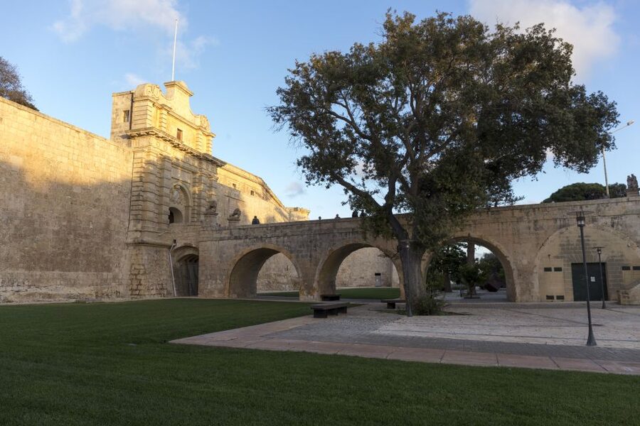 Mdina and Rabat Private Walking Tour with local pastizzi - Key highlights you should care about