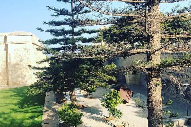 Mdina and Rabat Walking Tour inc. Catacombs and St. Paul's Grotto - Cathedral of Saint Paul and the art of noticing details