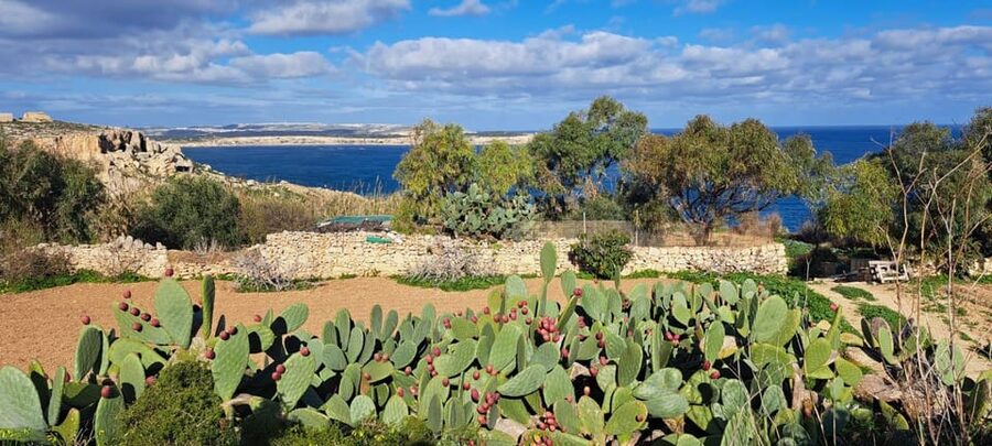North Malta: Quad Bike Tour with Scenic Land, Sea & Swimming - Red Tower and the radar station for Gozo and Comino views