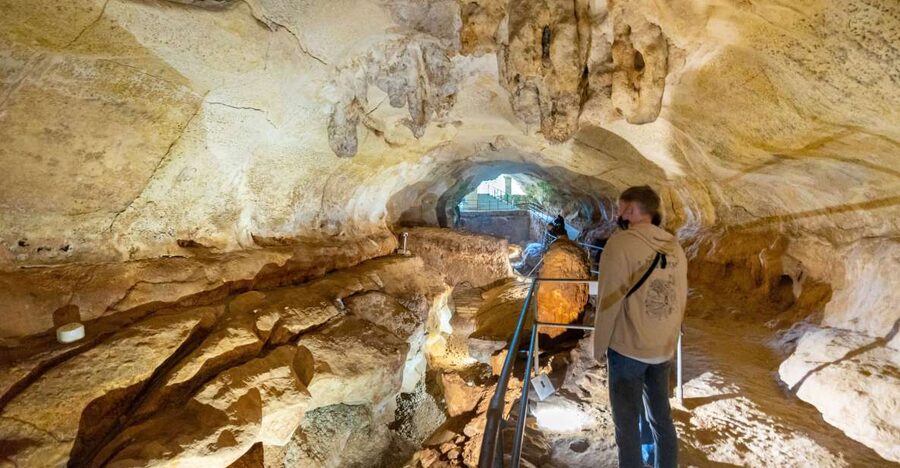 Prehistoric Temples of Malta Tour - Key Highlights You Should Not Rush