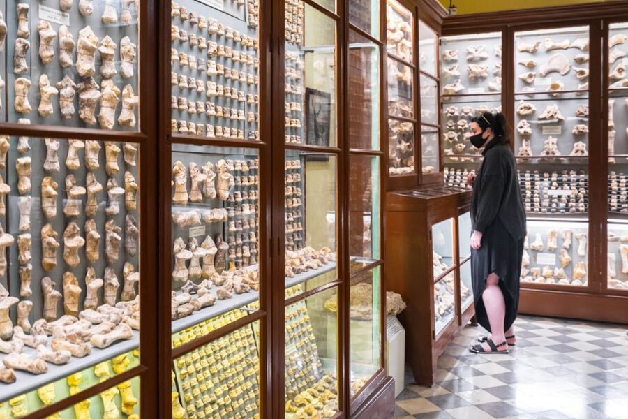 Prehistoric Temples of Malta Tour - Should You Book the Prehistoric Temples of Malta Tour?