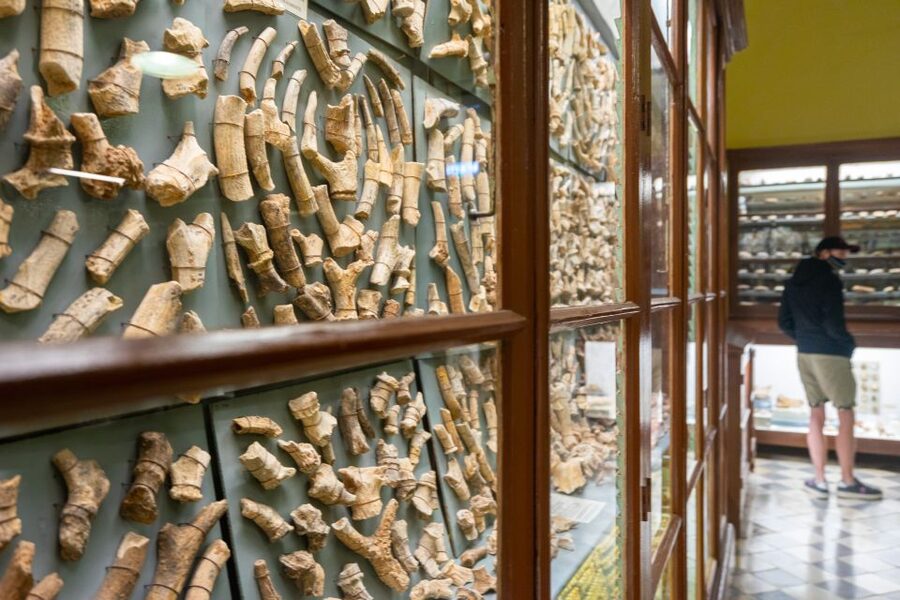 Prehistoric Temples of Malta Tour - UNESCO-Grade Prehistory, In One Practical Half Day