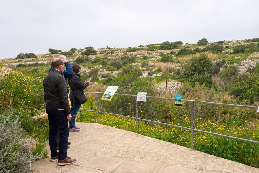 Prehistoric Temples of Malta Tour - Ghar Dalam Cave And Museum: Where Prehistory Turns Human