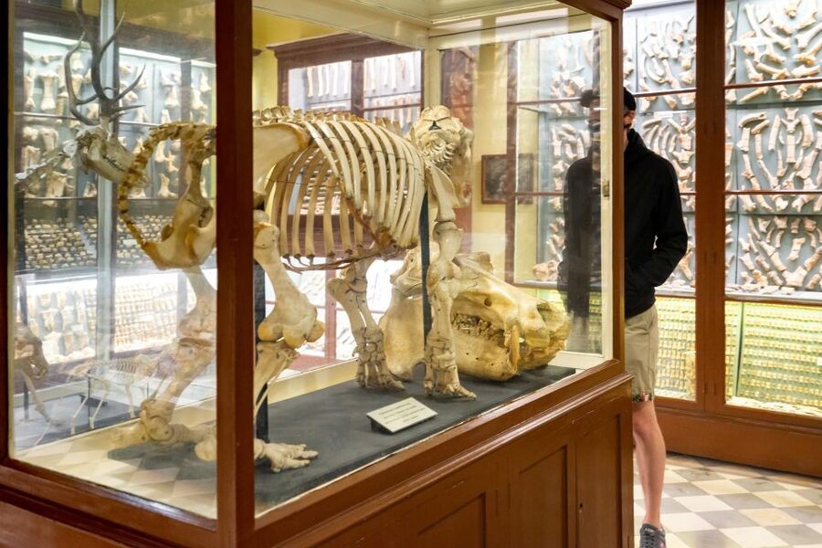 Prehistoric Temples of Malta Tour - Who Should Book This Tour (And Who Might Not)