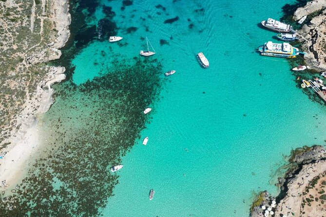 Private Boat Tour at Comino's Blue Lagoon and Crystal Lagoon - Cominotto Reef: when the water color turns into marine-life spotting