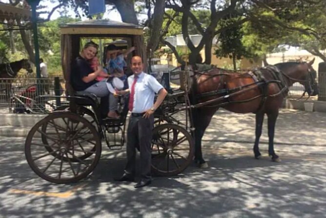 Private Chauffeur Island Tour of Malta and Gozo - Why This Malta and Gozo Route Feels Like a Smart Day