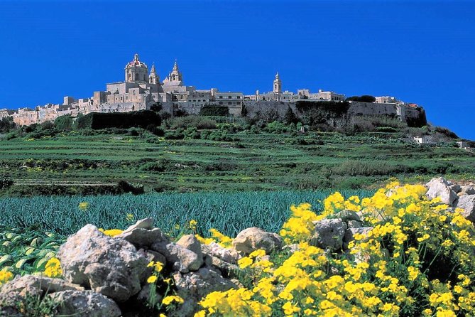 Private guided Malta shore excursion with a professional guide and transport - How the Tour Works: Custom Stops in a 4 to 8 Hour Window