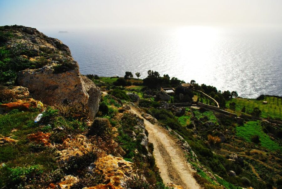 Scenic Tour by Vintage Bus to Buskett Garden & Dingli Cliffs - The 1928 Vintage Bus Ride That Makes Scenic Malta Feel Easy