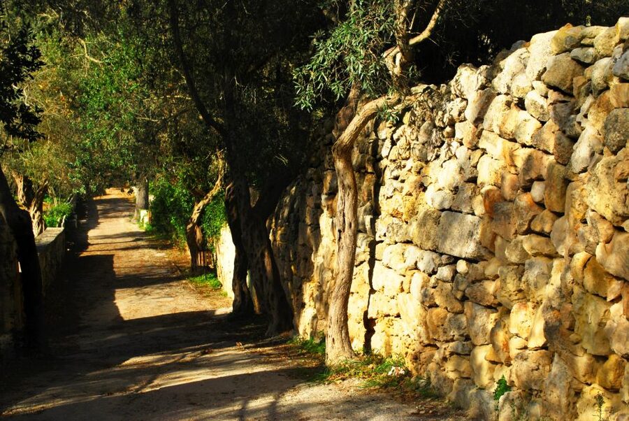 Scenic Tour by Vintage Bus to Buskett Garden & Dingli Cliffs - Dingli Cliffs and St Mary Magdalene Chapel, Malta’s Highest Viewpoint